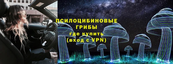 амф Володарск