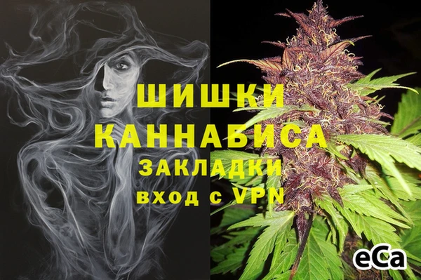 амф Володарск