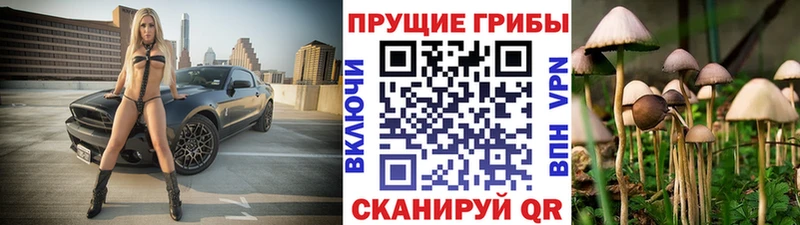 Галлюциногенные грибы мухоморы  Каневская 