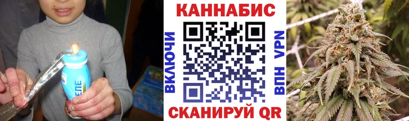 Шишки марихуана планчик  Каневская 